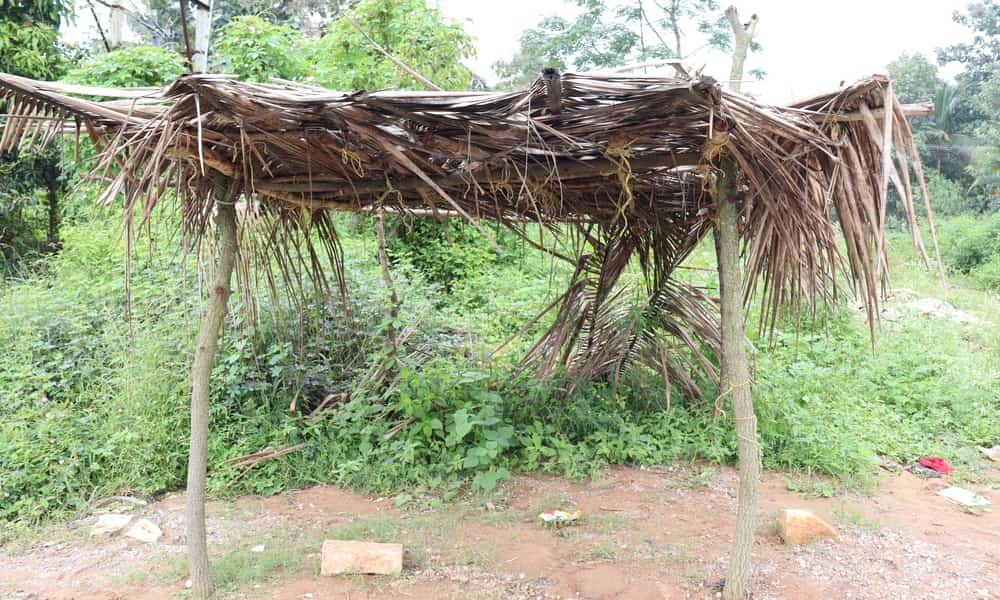 Grass structures of the Kadugolla community